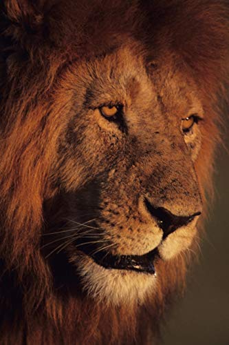 5 Inspiring Speeches