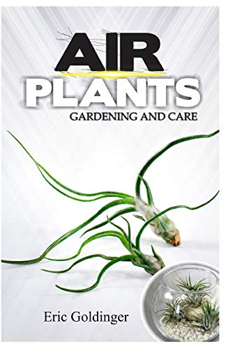 Air Plants Gardening and Care
