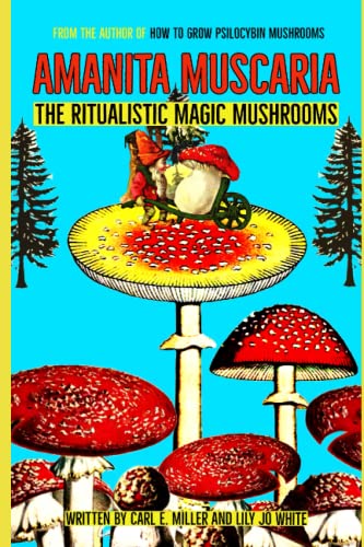 Amanita muscaria