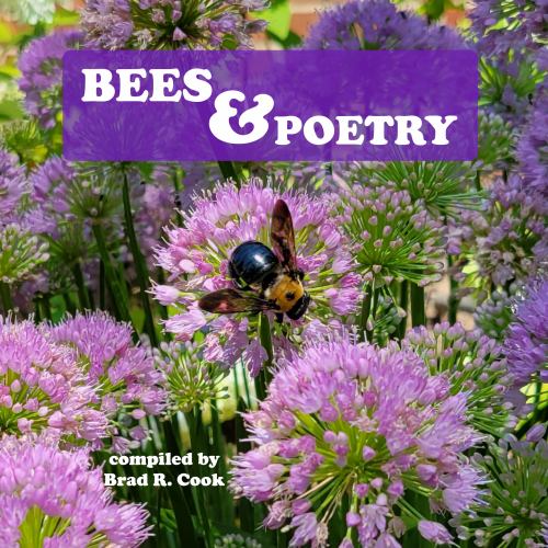 Bees & Poetry