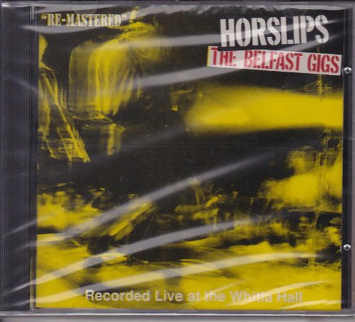 Belfast Gigs 1980
