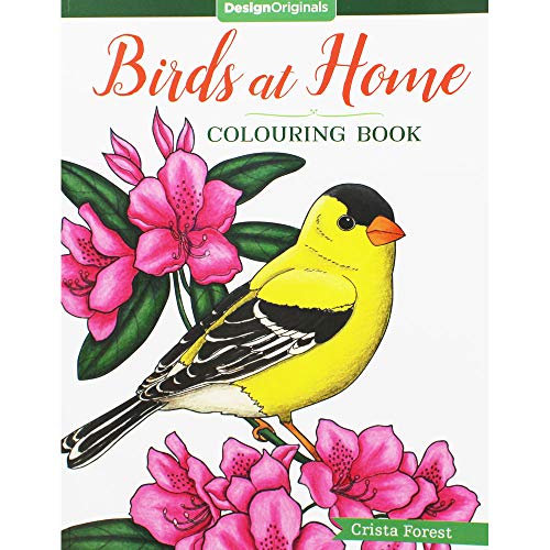 Birds at Home Coloring Book