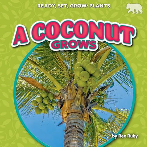 A Coconut Grows