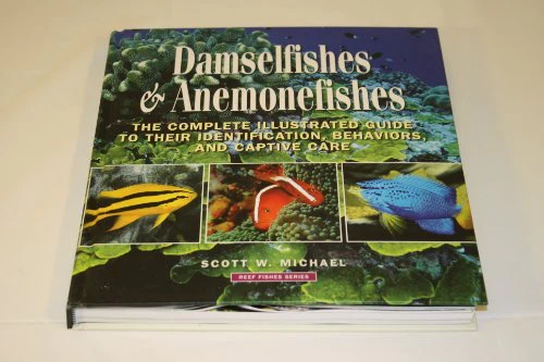 Damselfishes and Anemonefishes