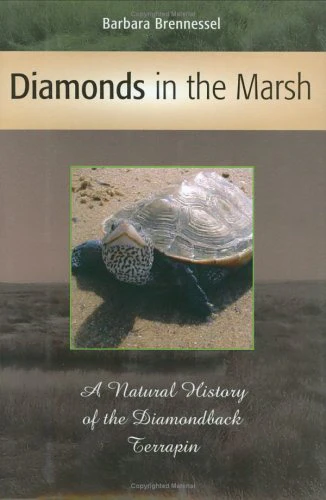 Diamonds in the Marsh