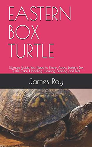 Eastern Box Turtle