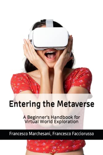 Entering the Metaverse