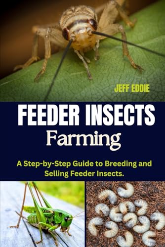 Feeder Insects Farming