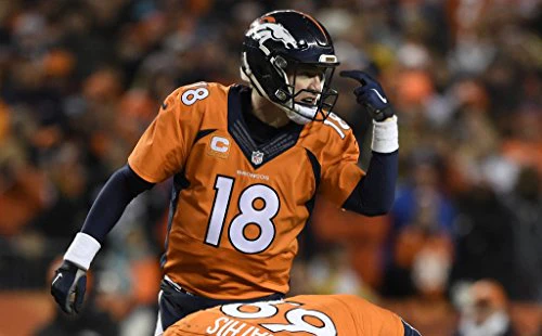 Fight to the Finish: The Denver Broncos' 2015 Championship Season