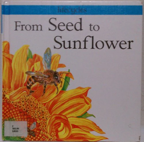 From Seed to Sunflower