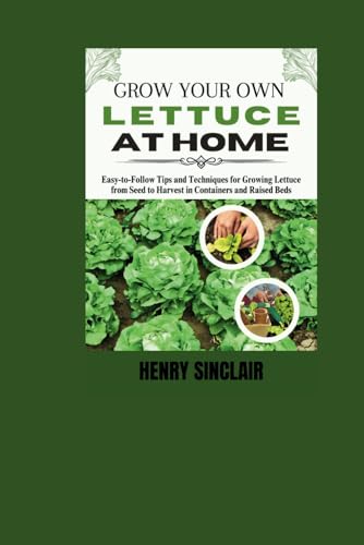 Grow Your Own Lettuce at Home
