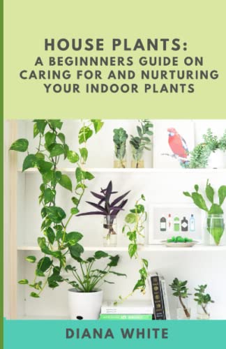 House Plants