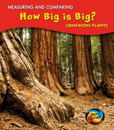 How Big Is Big?