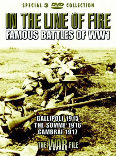 In The Line Of Fire - Famous Battles Of World War One [DVD]