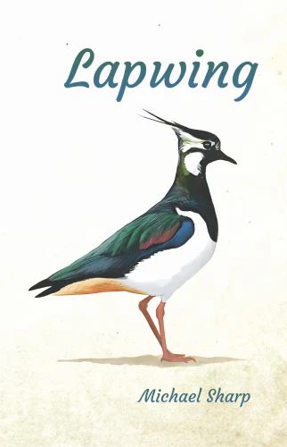 Lapwing