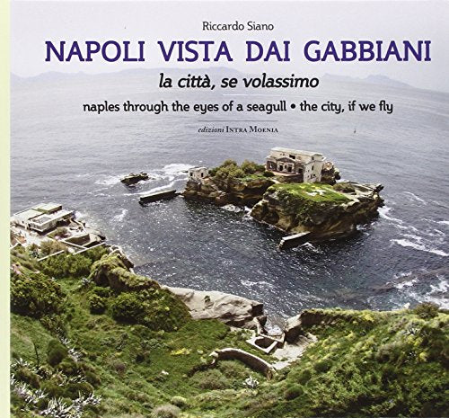 Napoli vista dai gabbiani. La città se volassimo