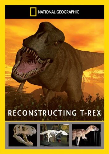 National Geographic: Reconstru [Import anglais]