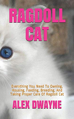 Ragdoll Cat