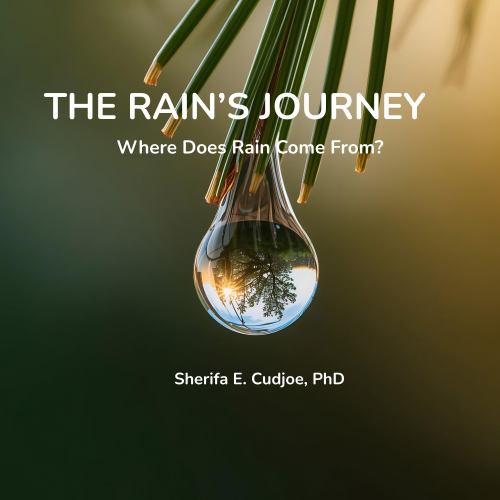 The Rain's Journey