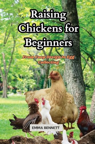 Raising Chicken for Beginners