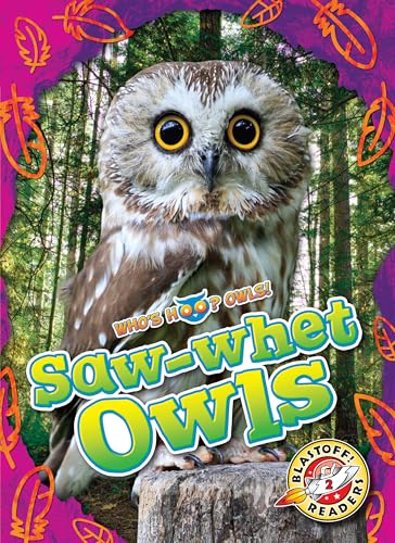 Saw-Whet Owls