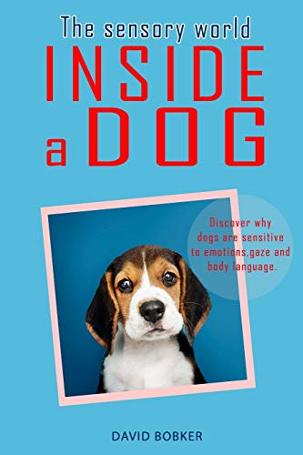 The Sensory World Inside a Dog