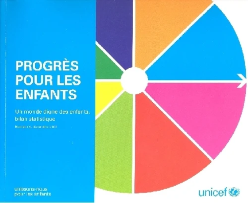 Situation Des Enfants Dans Le Monde 2008, La