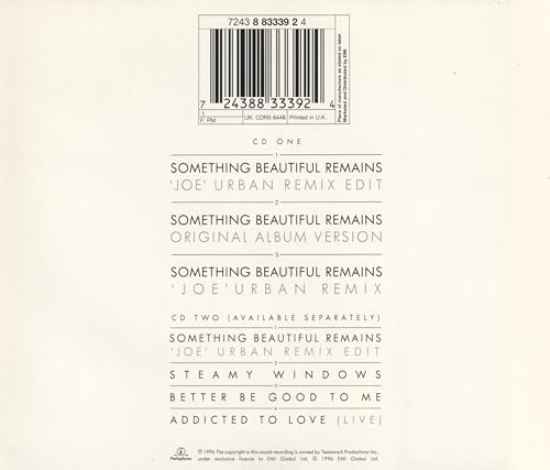 Something Beautiful Remains