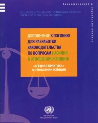 Supplement to the Handbook for Legislation on Violence Against Women