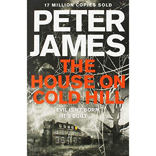 The House on Cold Hill