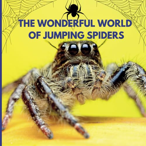 The Wonderful World of Jumping Spiders: Interesting Facts About Jumping Spiders