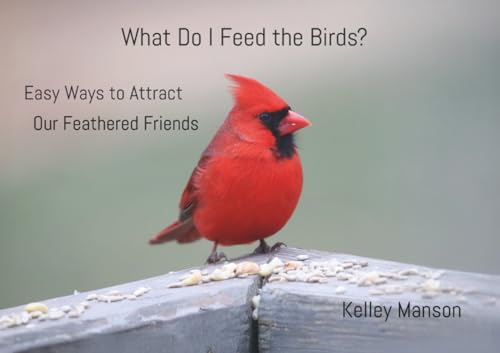 What Do I Feed the Birds?