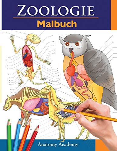 Zoologie Malbuch